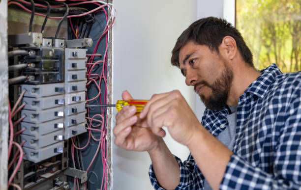 Best Electrician for Home Renovation  in Wayne City, IL